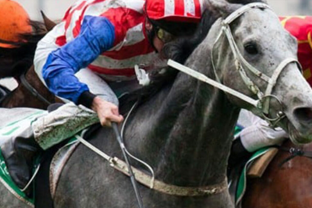 And they’re off… Melbourne Cup events